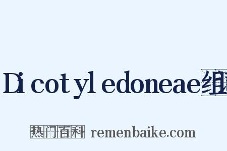 Dicotyledoneae组词是什么意思的图片